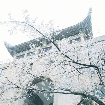 《历史文化中的中华民族共同体100讲》新书发布暨学术研讨会在京举行